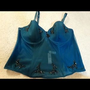 Plus size lingerie longline corset bra lanebryant